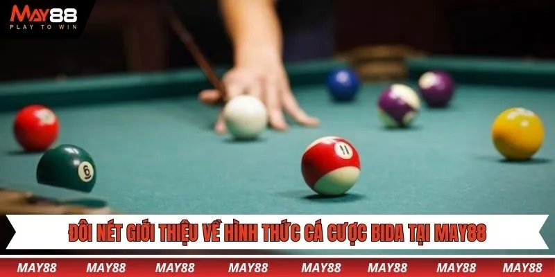Đôi nét giới thiệu về hình thức cá cược bida tại May88