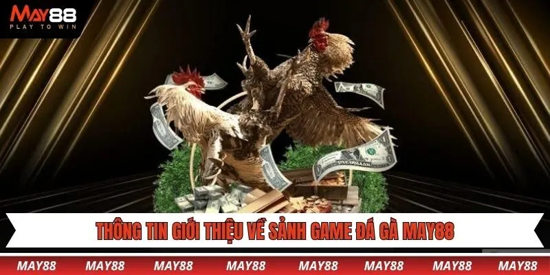 Thông tin giới thiệu về sảnh game đá gà May88