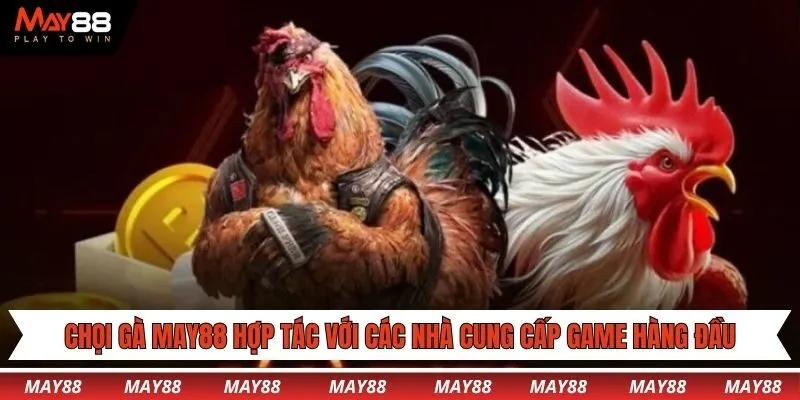 Chọi gà May88 hợp tác với các nhà cung cấp game hàng đầu