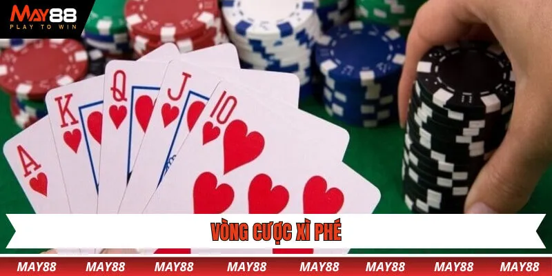 Vòng cược xì phé