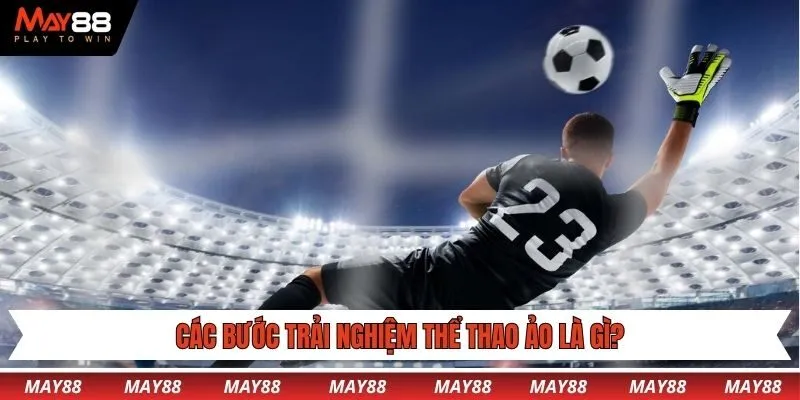 Các bước trải nghiệm thể thao ảo là gì?