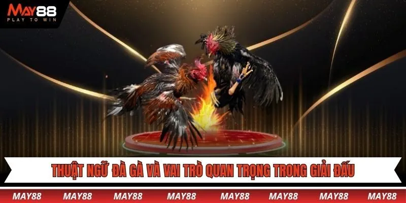 Thuật ngữ đà gà và vai trò quan trọng trong giải đấu