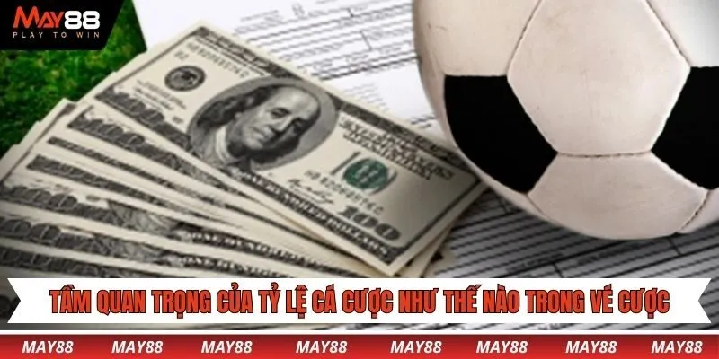 Tầm quan trọng của tỷ lệ cá cược như thế nào trong vé cược