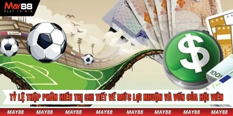 Tỷ lệ thập phân hiển thị chi tiết về mức lợi nhuận và vốn của hội viên